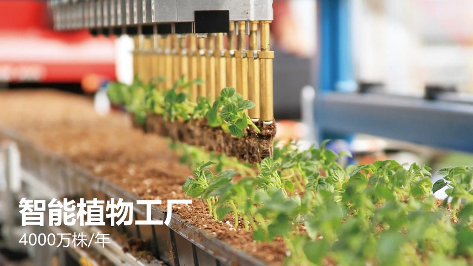20191119/1b4c2d5453de158e3ebfbceffcd65159.JPG 极悦娱乐 2760e