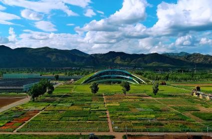 极悦娱乐 70558