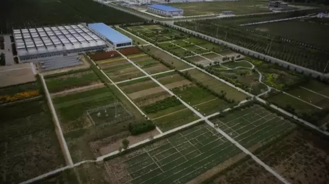 极悦娱乐官方网站图片