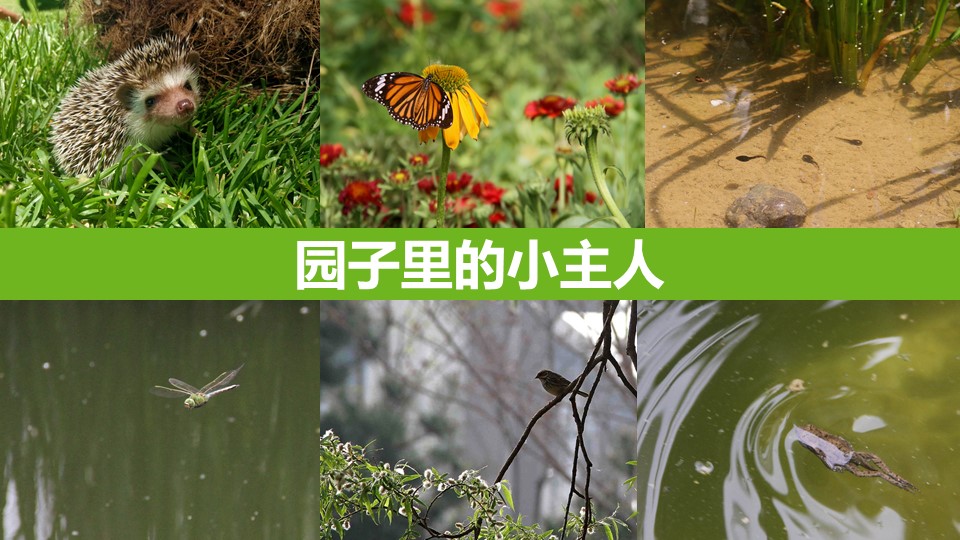 20191119/e9c1ce0a0973810daa444b5712c7ed9a.JPG 极悦娱乐 f5b6e