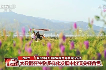 极悦娱乐 a0cbc