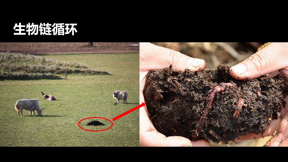 20191119/63bb6add9632e53b4001880ded5ffb1c.JPG 极悦娱乐 0f366