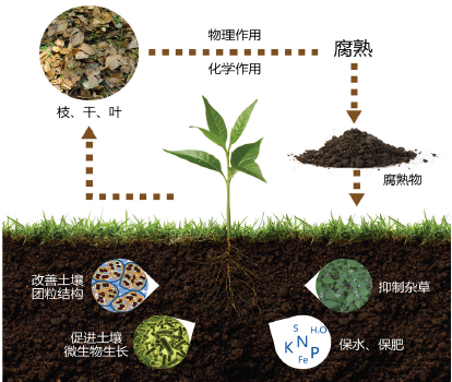 极悦娱乐 87f8e