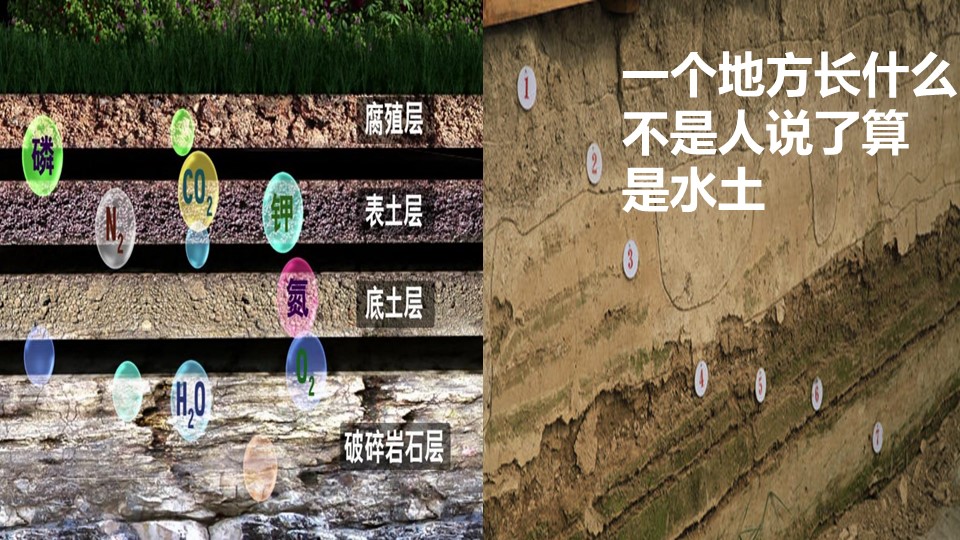 20191119/4fe54f0092e8789a0e282c581b5cea79.JPG 极悦娱乐 013d1