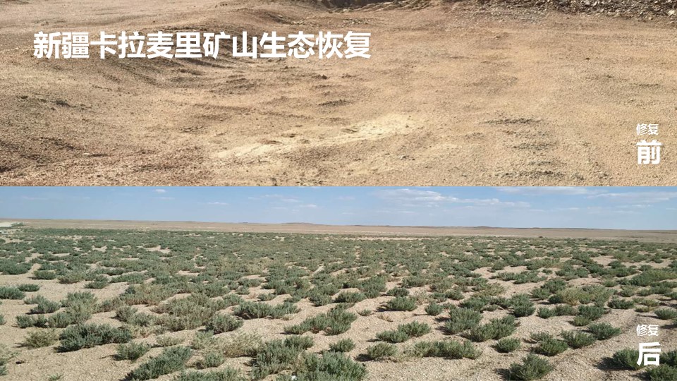 20191119/2e71233973602f571db599e6e2496ec7.JPG 极悦娱乐 d0500