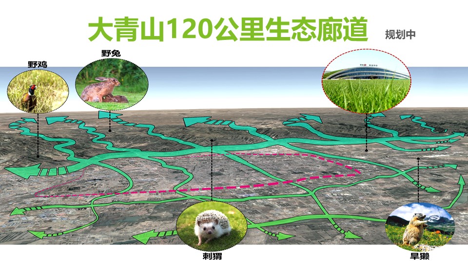 20191119/b580f65927dc60cdd0cd09c1b6b38756.JPG 极悦娱乐 0b576