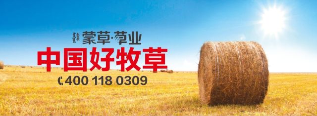 极悦娱乐 a7983