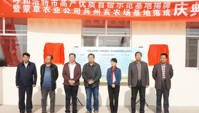 极悦娱乐 62021