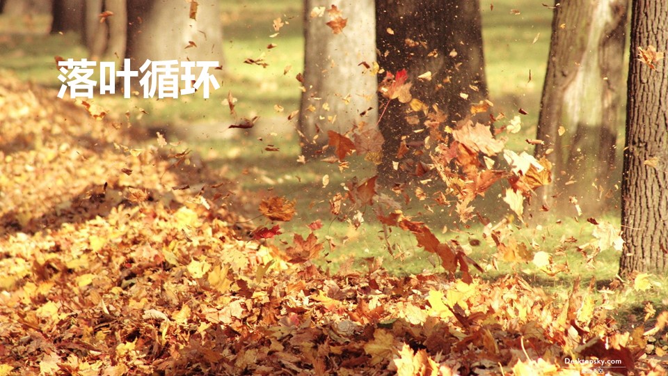 20191119/4ada1da4f636e4cfc146e972f5b37d22.JPG 极悦娱乐 607e5