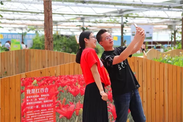 极悦娱乐官方网站图片