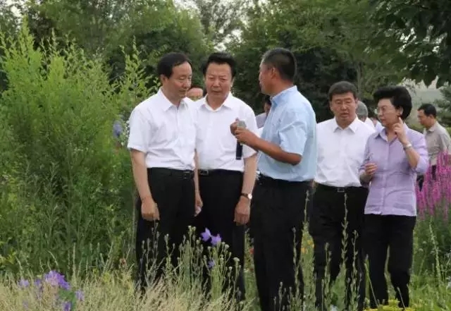 极悦娱乐官方网站图片