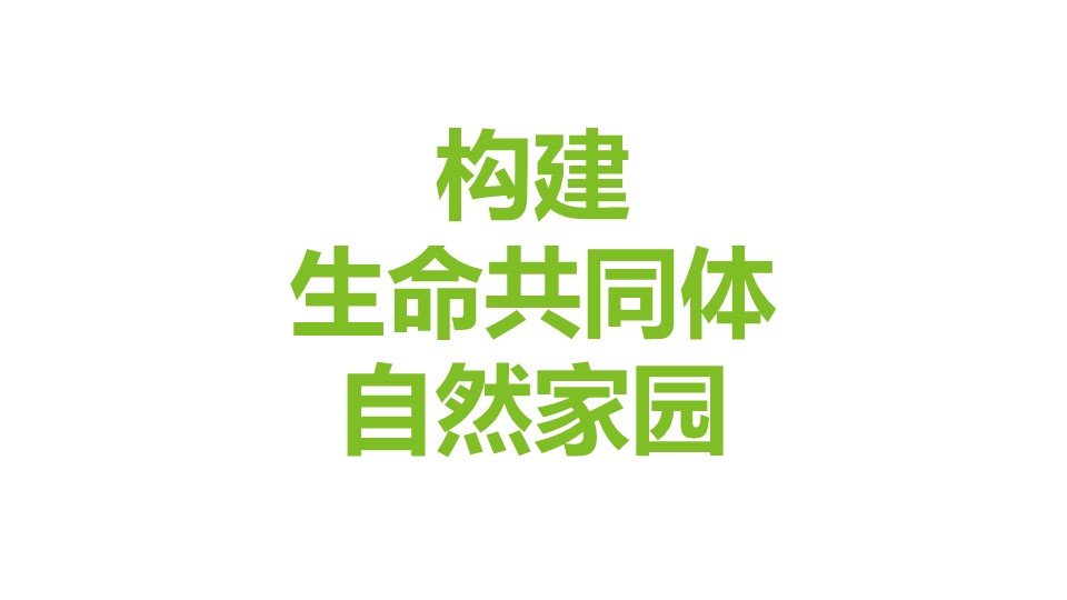20191119/8516d1a26ed8d22632822b4003b64112.JPG 极悦娱乐 080e2