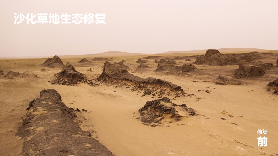 20191119/cad4cb6011270a454b4e28edddfd0d47.JPG 极悦娱乐 3ab91