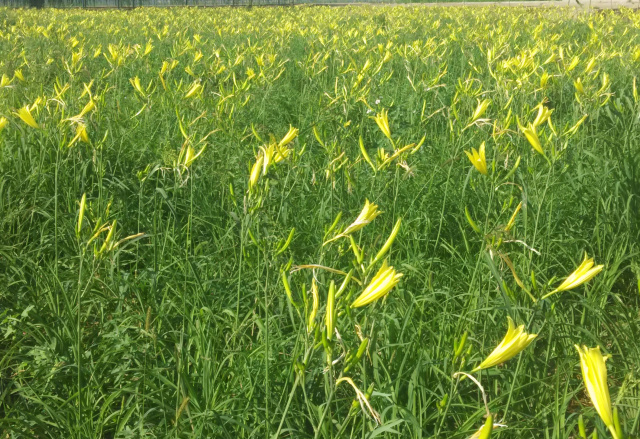 极悦娱乐 3f4e5