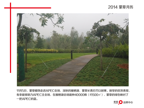 极悦娱乐 1fefd