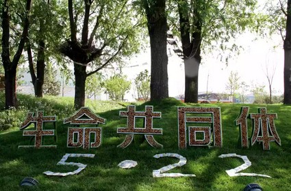 极悦娱乐 b0932