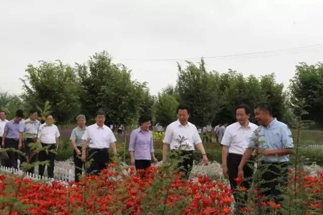 极悦娱乐官方网站图片