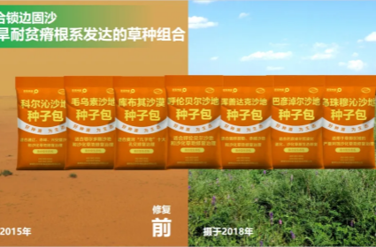 极悦娱乐 61ebc