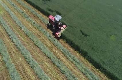 极悦娱乐 92a67
