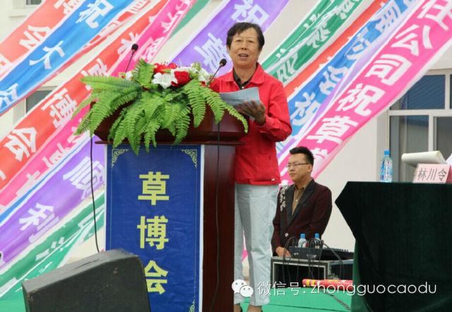 极悦娱乐官方网站图片