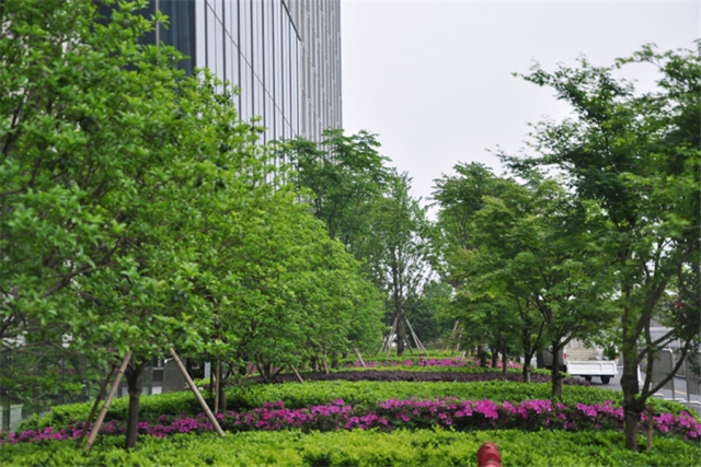 极悦娱乐 223b1