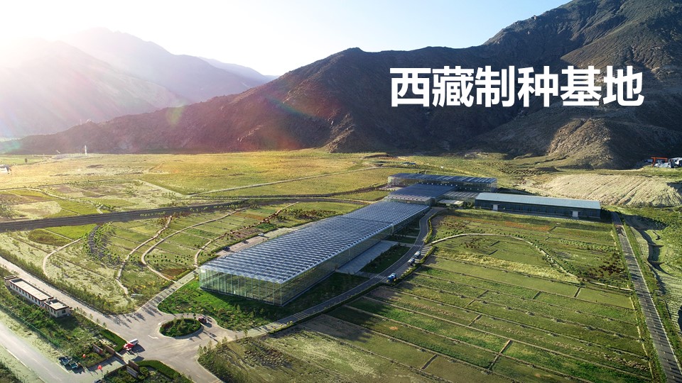 20191119/12487adcaf8bdfddf1b319f87d2890a8.JPG 极悦娱乐 74e16