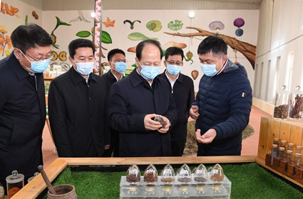 极悦娱乐 f3721